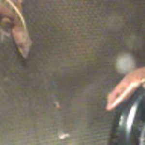 Meet your Posher, Mag